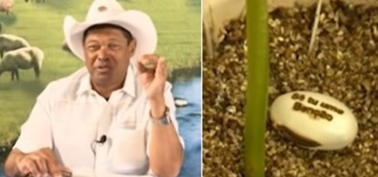 [MPF pede que pastor pague R$ 300 mil por prometer falsa cura da Covid-19]