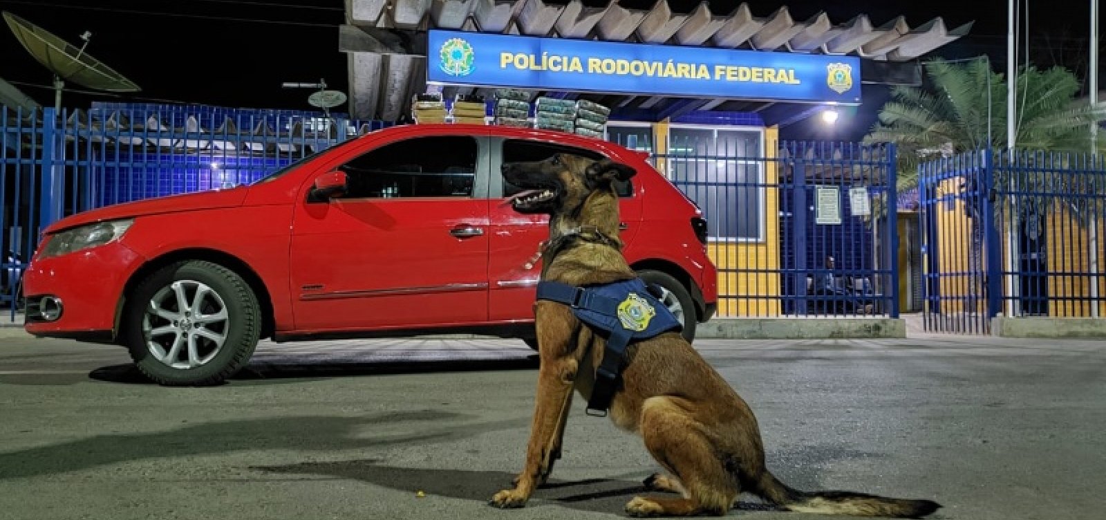 [Com ajuda de cão farejador, PRF apreende 18 kg de drogas e prende suspeito de tráfico]