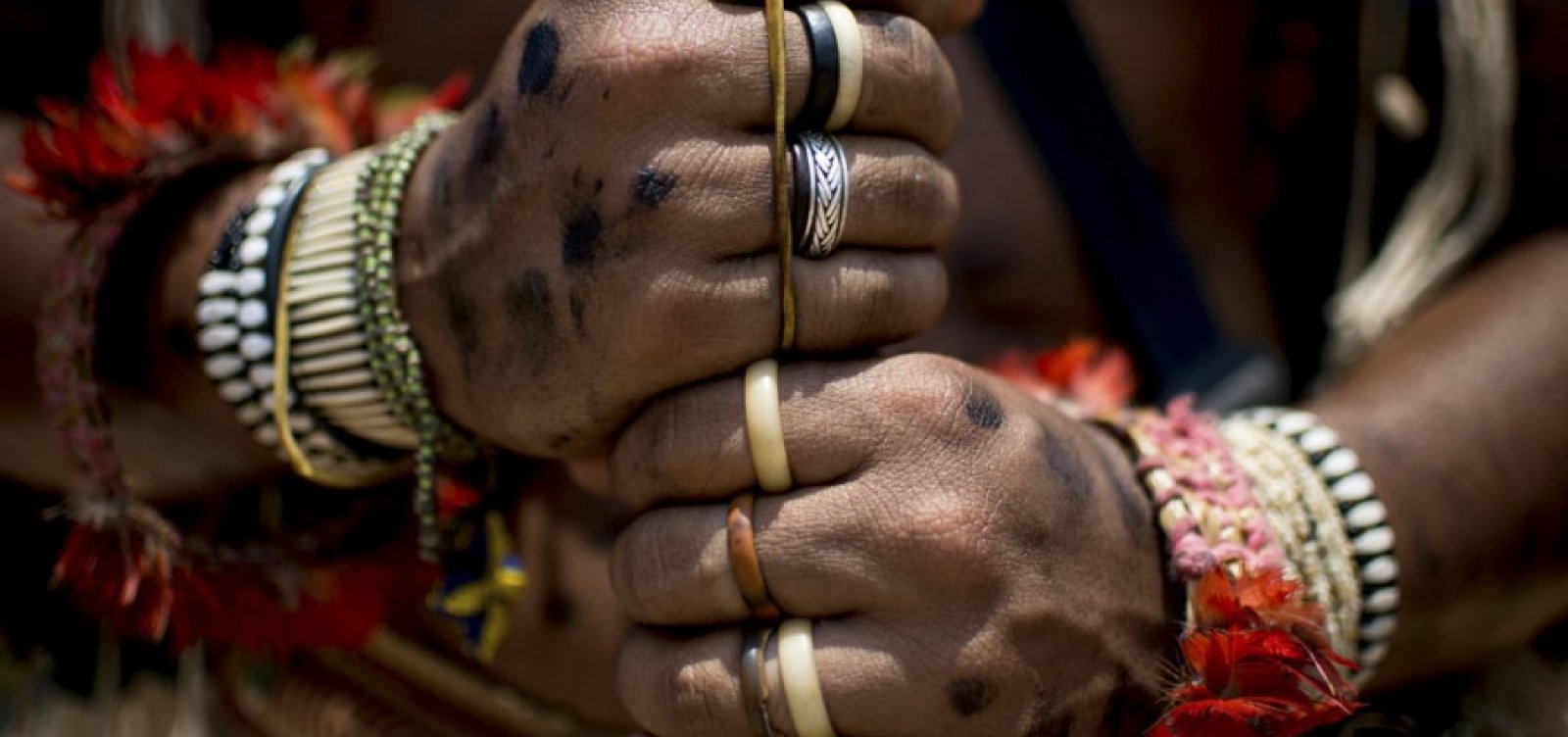 [Em plena pandemia, juiz emite ordem de despejo contra indígenas de aldeia pataxó na Bahia]