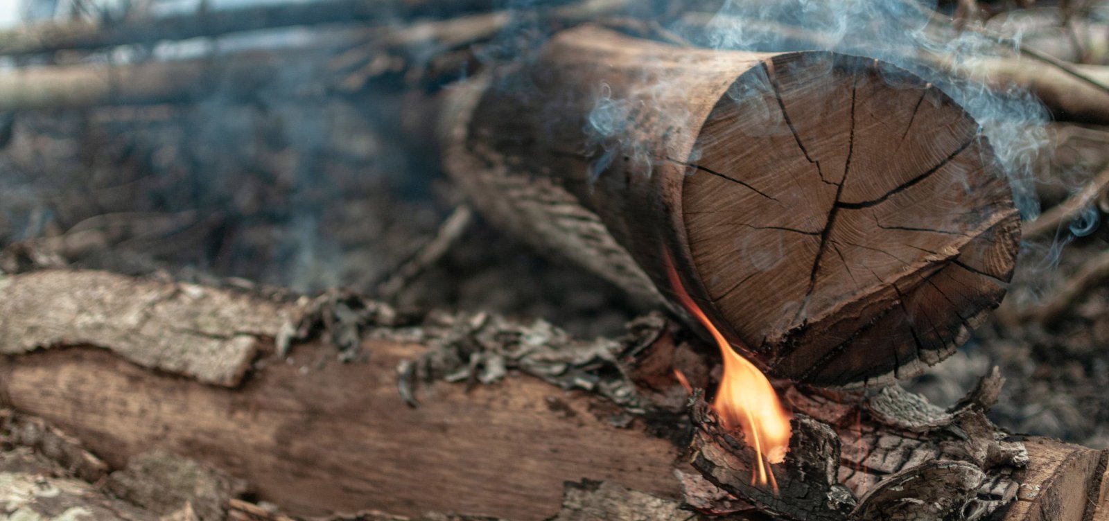 [Ministério do Meio Ambiente suspende todas as operações de combate ao desmatamento na Amazônia]