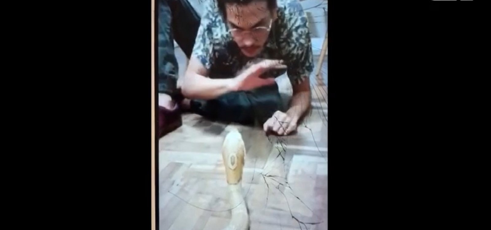 [Vídeos mostram estudante picado no DF e amigos provocando naja]