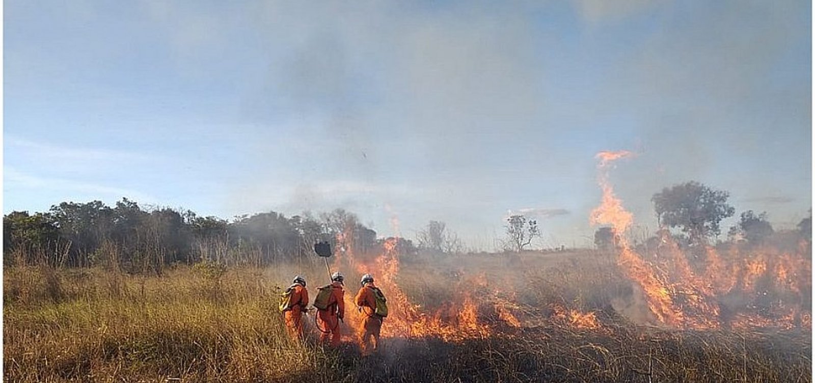 [Bahia registra quase 3 mil focos de queima em 2020, diz Inpe]