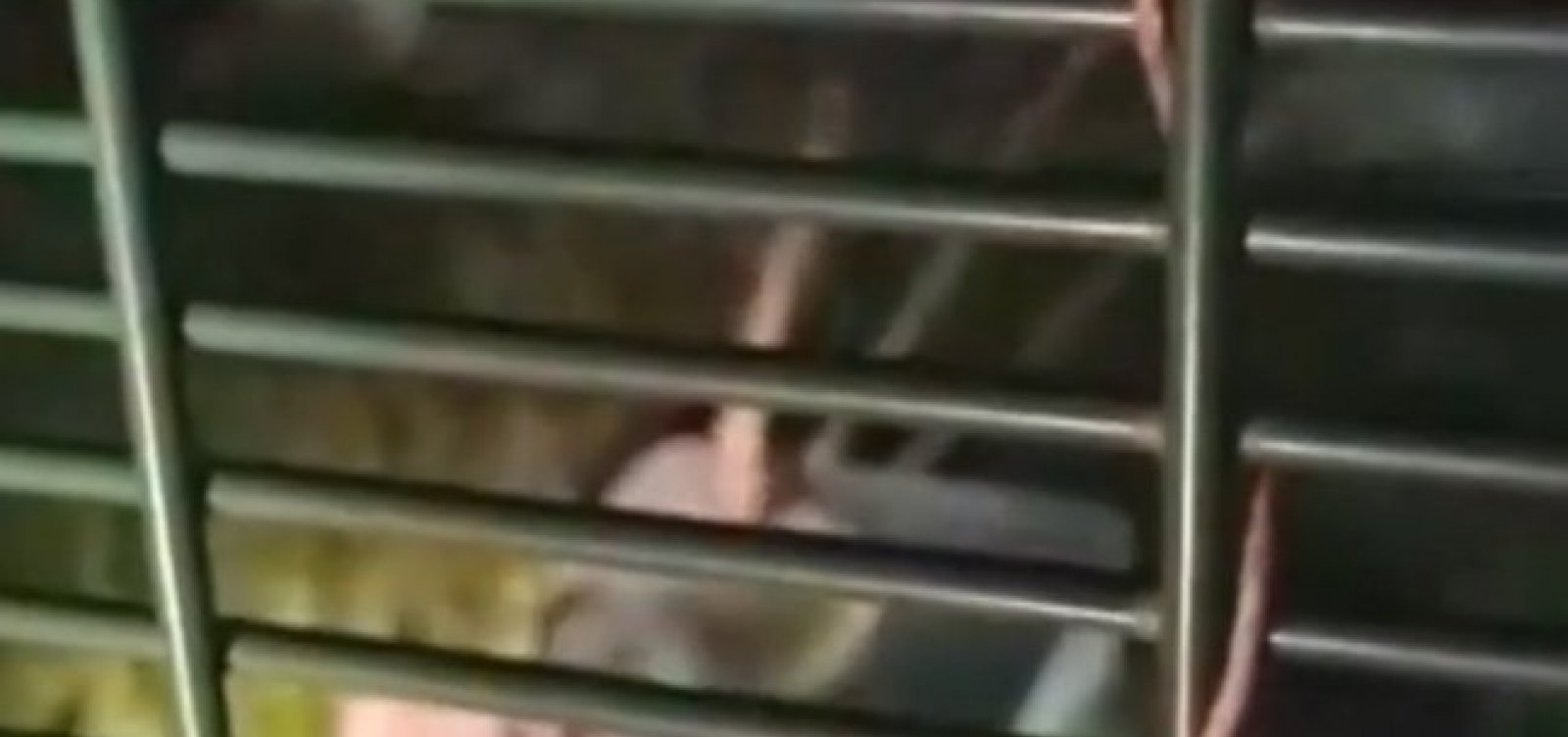 [Sucuri de 2 metros &eacute; encontrada em &aacute;rea de esta&ccedil;&atilde;o de metr&ocirc; em Salvador]