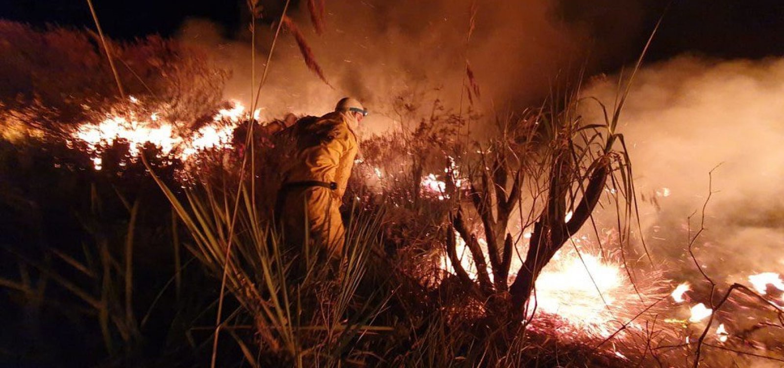 [Fogo na Chapada Diamantina destrói 2 mil hectares do parque; veja como ajudar no combate]