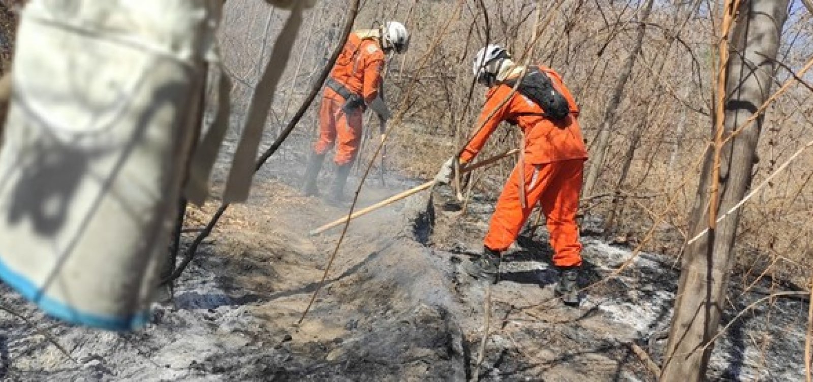 [Após quase um mês do início das chamas, incêndio florestal em Barra é extinto]