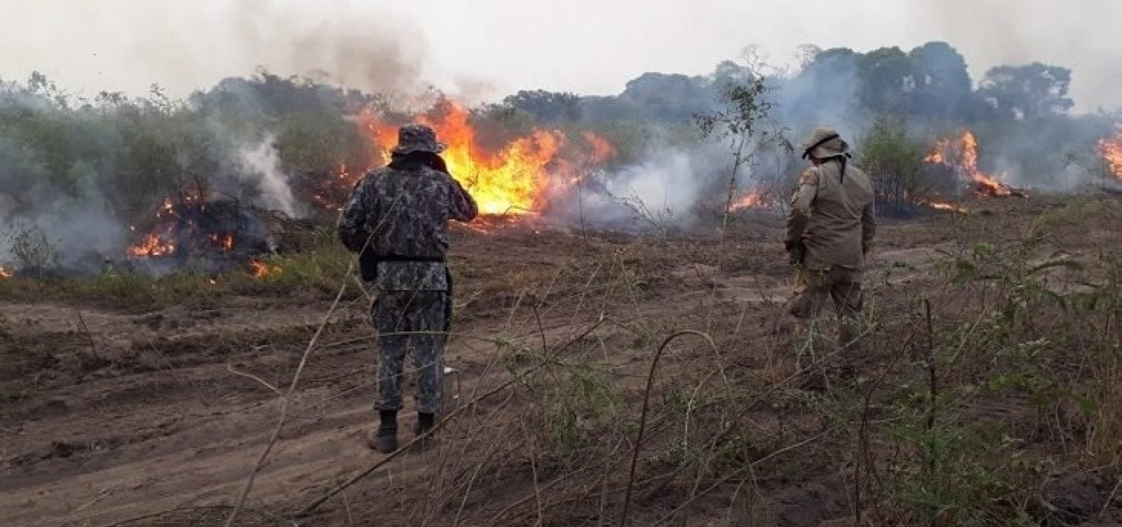 [Pantanal tem pior outubro de queimadas da hist&oacute;ria e fogo cresce 121% na Amaz&ocirc;nia]